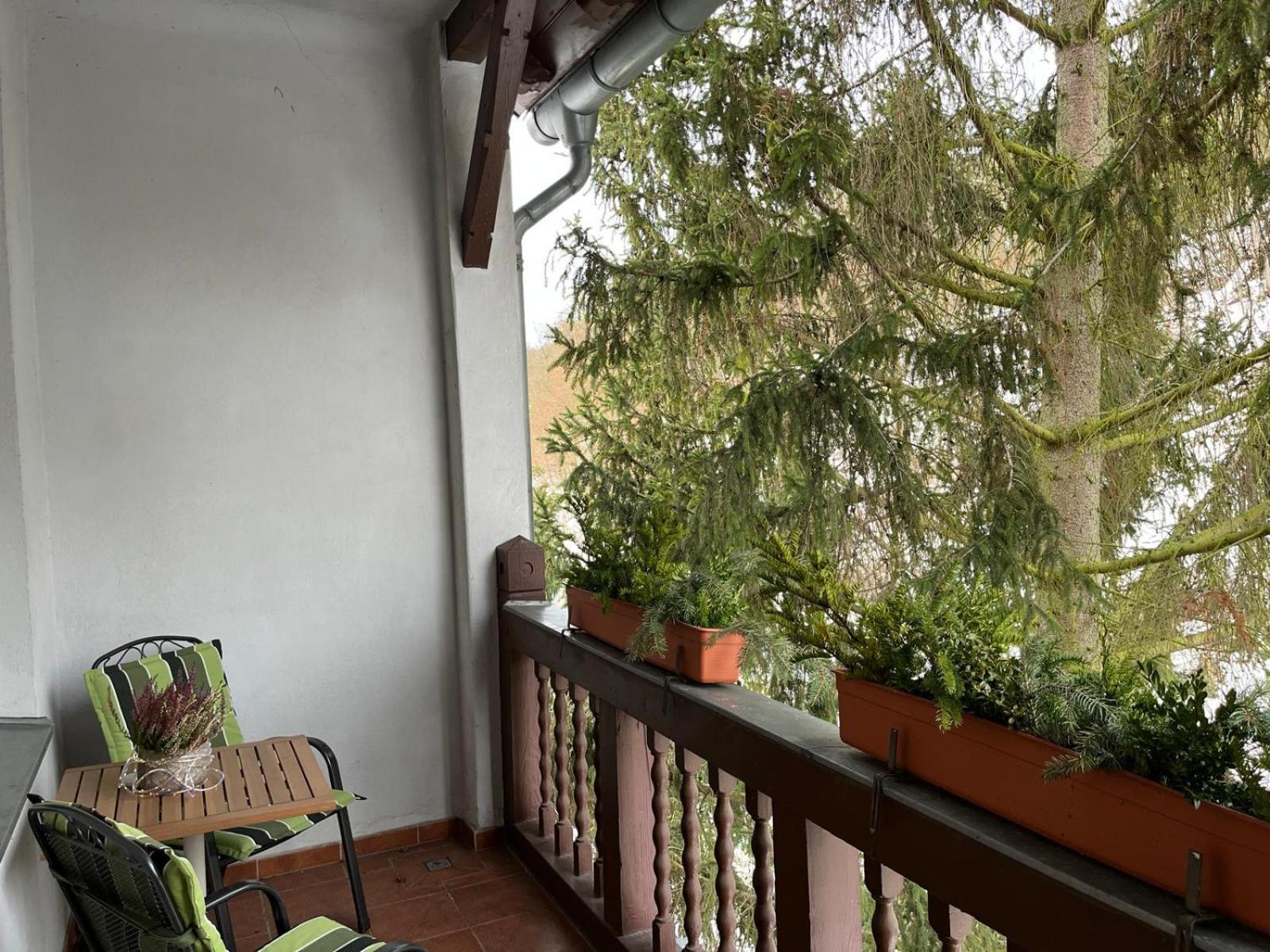 Villa Regina Bad Freienwalde Exterior foto