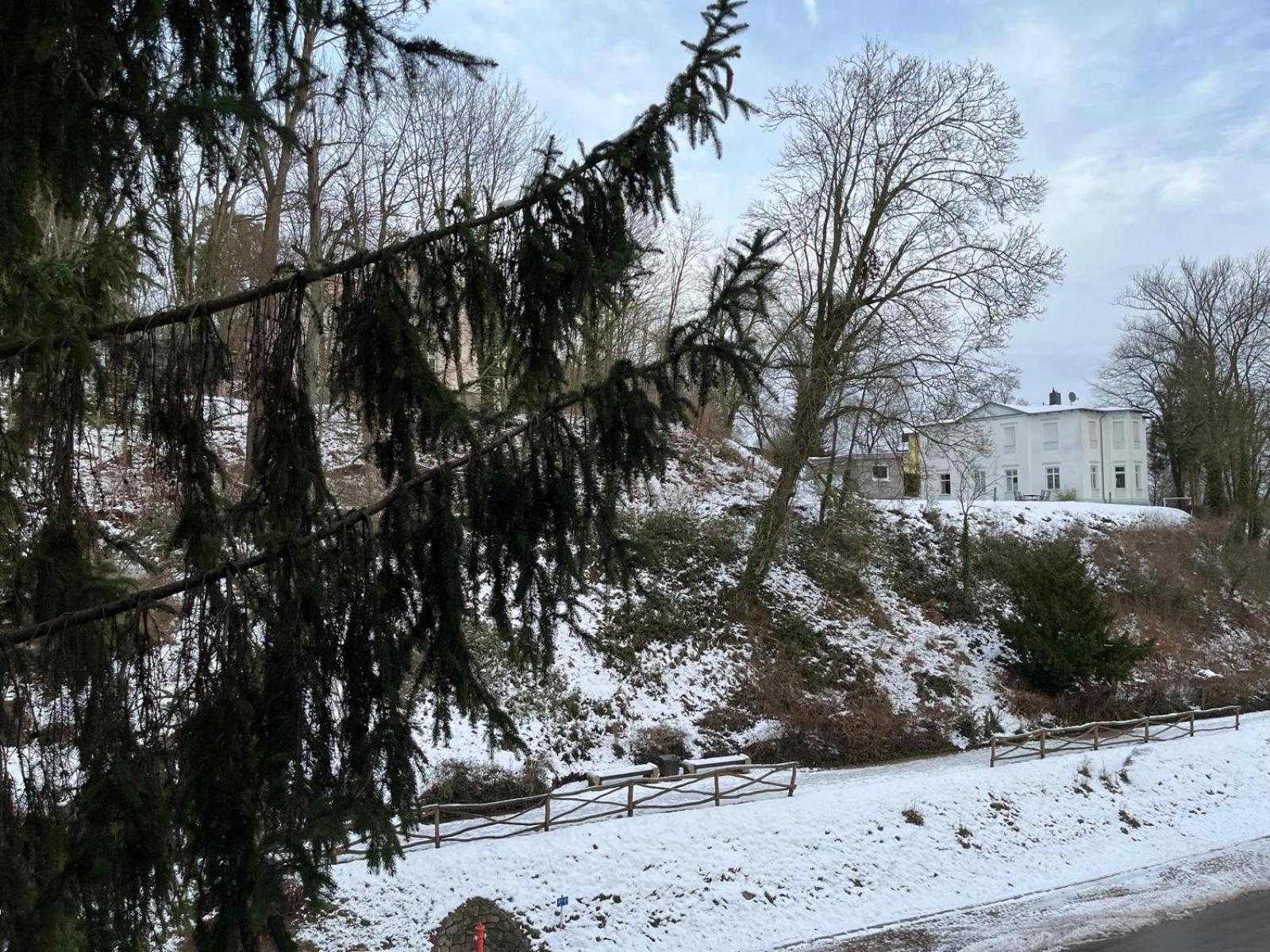 Villa Regina Bad Freienwalde Exterior foto